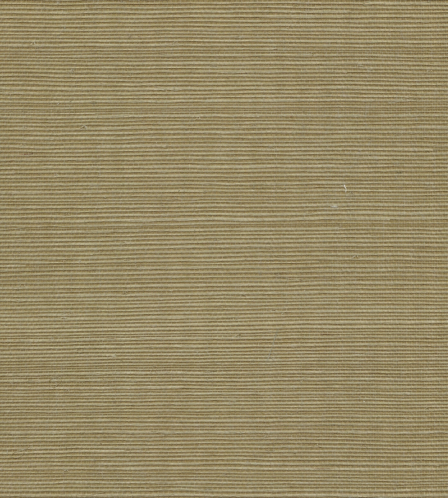 View Scalamandre Wallpaper Pattern Wtwgt3954 Name Organic Sisal Ferndale Texture Wallpaper