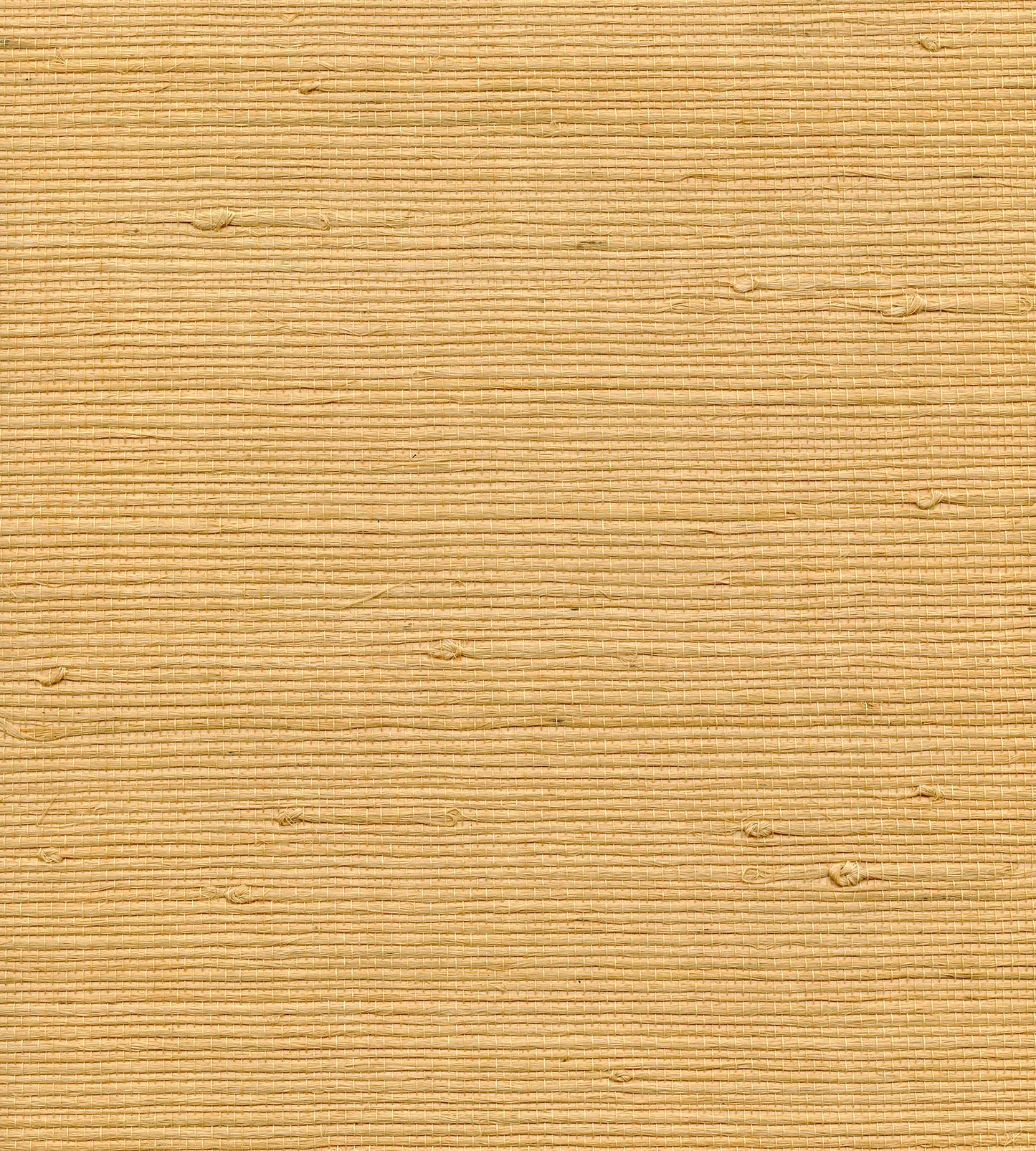 Order Scalamandre Wallpaper Pattern Wtwgt3959 Name Organic Jute Maize Texture Wallpaper