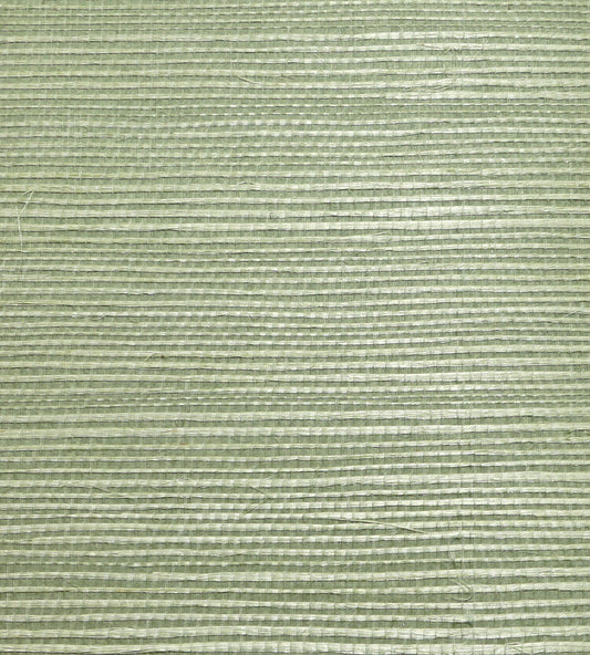 Buy Scalamandre Wallpaper Pattern Wtwgt3969 Name Organic Sisal Sea Glass Texture Wallpaper