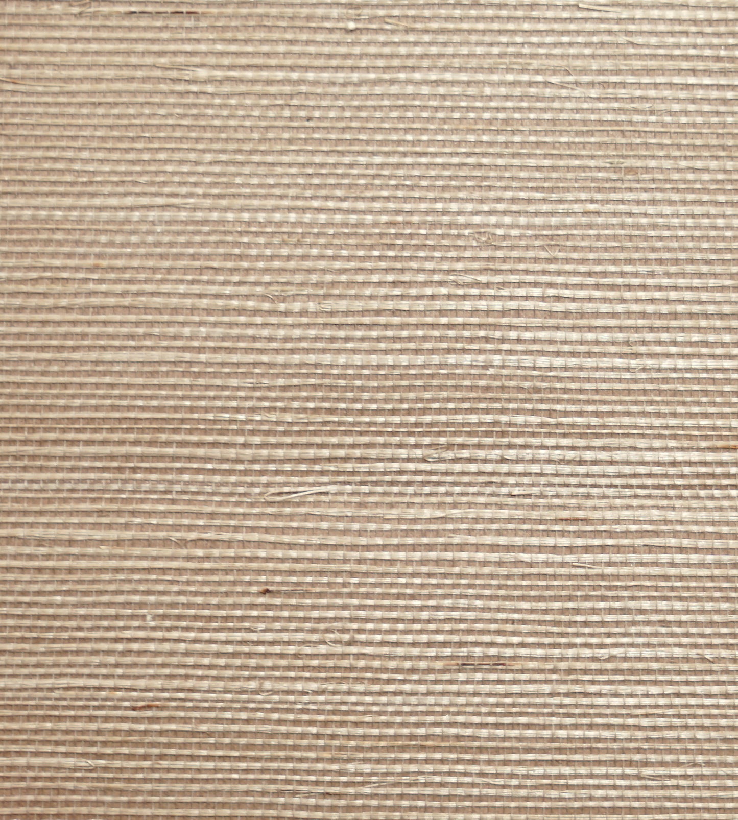 Purchase Scalamandre Wallpaper Pattern Wtwgt3970 Name Organic Sisal Essence Texture Wallpaper