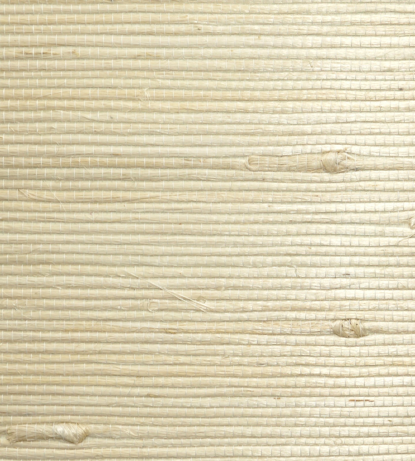 Looking Scalamandre Wallpaper Pattern Wtwsg5636 Name Natural Jute Cotton In The Raw Texture Wallpaper