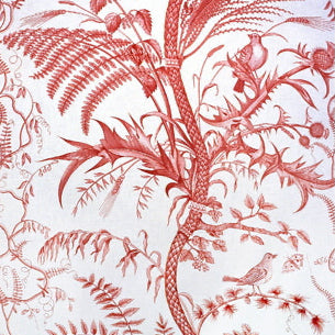 Purchase BR-79431-166 Bird And Thistle Cotton Print Red Toile by Brunschwig & Fils Fabric