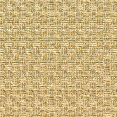 Select BR-800043.052.0 Reed Texture Beige Texture by Brunschwig & Fils Fabric