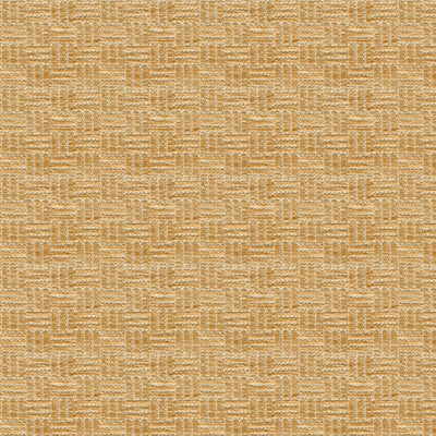 Save BR-800043.063.0 Reed Texture Beige Texture by Brunschwig & Fils Fabric