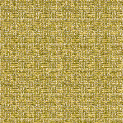 Looking BR-800043-405 Reed Texture Lichen Texture by Brunschwig & Fils Fabric