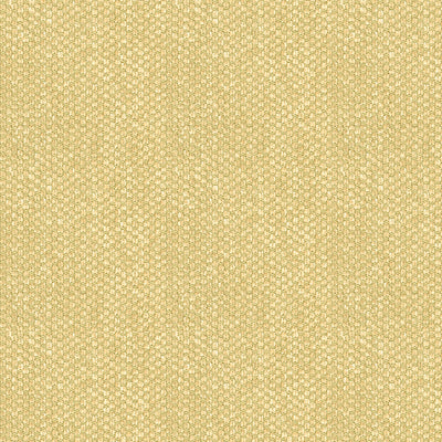 Buy BR-81782.057.0 Yorke Chenille Beige Texture by Brunschwig & Fils Fabric