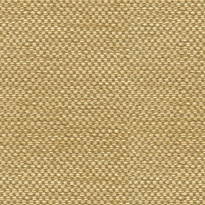 Shop BR-81782-334 Yorke Chenille Gold With Beige Chic And Modern/Contemporary by Brunschwig & Fils Fabric