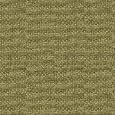 Purchase BR-81782-406 Yorke Chenille Moss Chic And Modern/Contemporary by Brunschwig & Fils Fabric