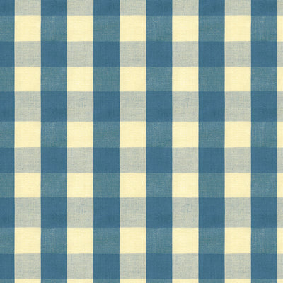 Find BR-89149-55 Carsten Check Indigo Check/Plaid by Brunschwig & Fils Fabric