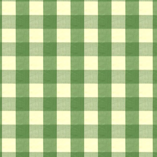 Buy BR-89725-464 Exchequer Cotton Check Jade Check/Plaid by Brunschwig & Fils Fabric