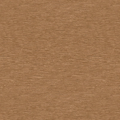 Buy BR-89776.053.0 Thanon Linen Velvet Beige by Brunschwig & Fils Fabric