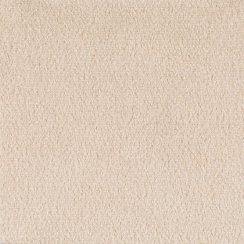 Buy BR-89778.012.0 Autun Mohair Velvet Beige Solid by Brunschwig & Fils Fabric