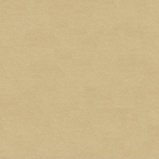 Save BR-89779.005.0 Lubeck Cotton Velvet Beige by Brunschwig & Fils Fabric