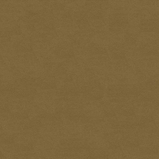 Purchase BR-89779-812 Lubeck Cotton Velvet Fawn by Brunschwig & Fils Fabric