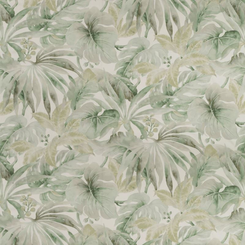 Order CARLES.23.0 White Botanical Kravet Basics Fabric