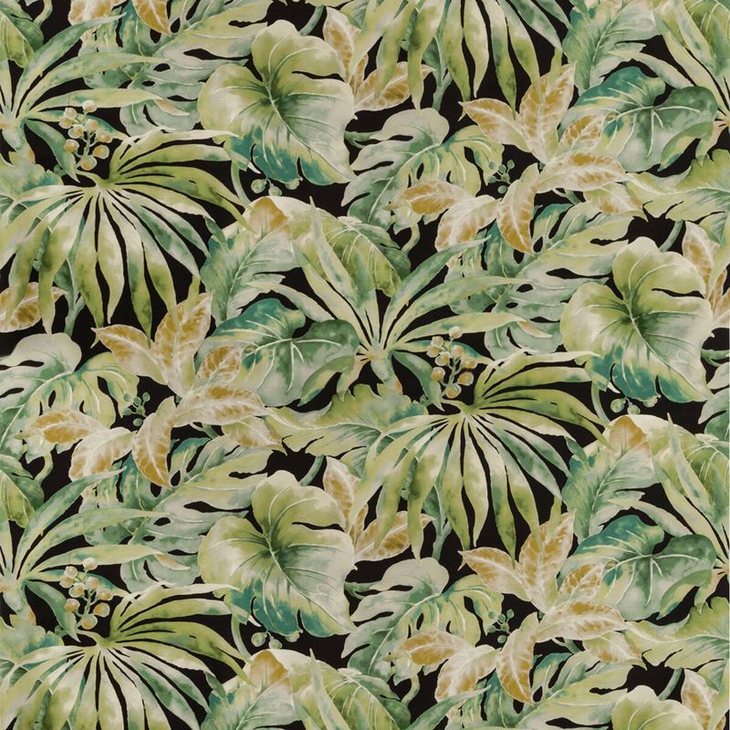 View CARLES.830.0 Black Botanical Kravet Basics Fabric