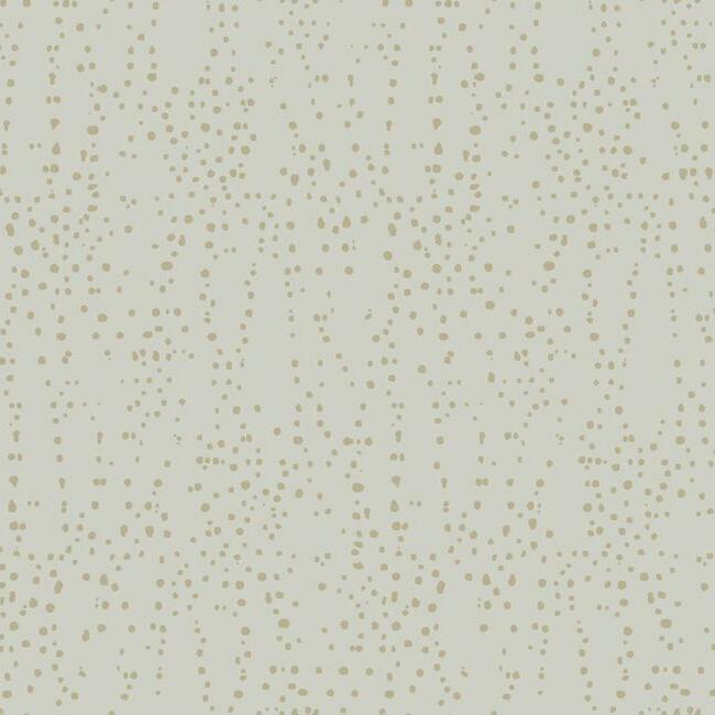 Shop CI2354 Modern Artisan II Star Struck Gray Candice Olson Wallpaper