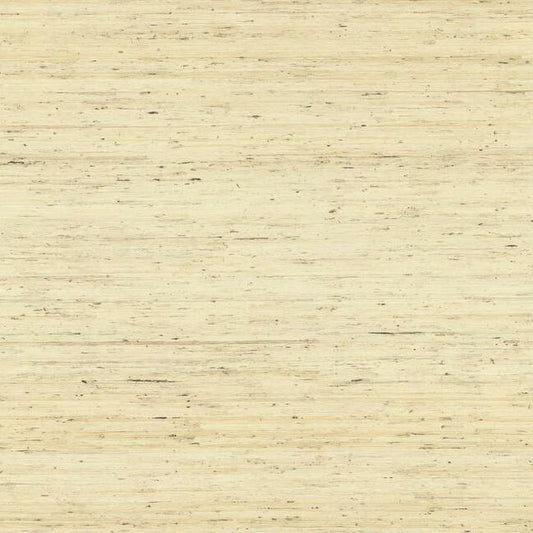 CP9345 Arrowroot Wallpaper Cream Waters Edge1CP9345 Arrowroot Wallpaper Cream Waters Edge2CP9345 Arrowroot Wallpaper Cream Waters Edge3