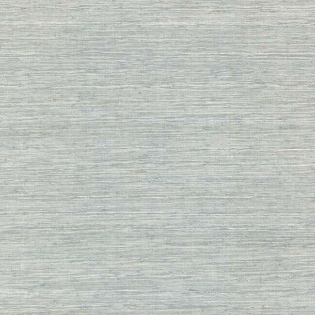CV4402 | Water's Edge Resource Library, Arrowroot Blue York Wallpaper