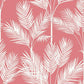 CV4407 King Palm Silhouette Wallpaper Coral Waters Edge1 ; CV4407 King Palm Silhouette Wallpaper Coral Waters Edge2 ; CV4407 King Palm Silhouette Wallpaper Coral Waters Edge3 ; CV4407 King Palm Silhouette Wallpaper Coral Waters Edge4 ; CV4407 King Palm Silhouette Wallpaper Coral Waters Edge5 ; CV4407 King Palm Silhouette Wallpaper Coral Waters Edge6