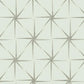 GR5943 | Grandmillennial, Evening Star Silver York Wallpaper