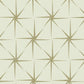 GR5944 | Grandmillennial, Evening Star Glint York Wallpaper