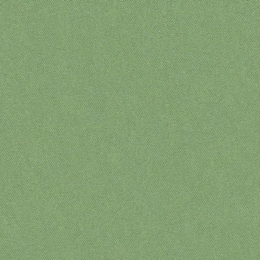 View JAG-50001-3000 Jour Sage Solid by Brunschwig & Fils Fabric