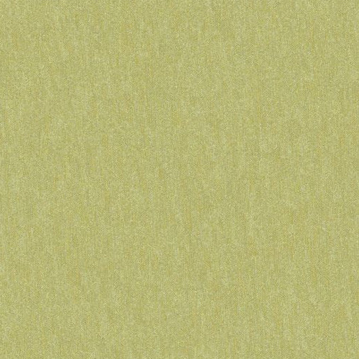 Save JAG-50020-30 Shots Thyme Solid by Brunschwig & Fils Fabric