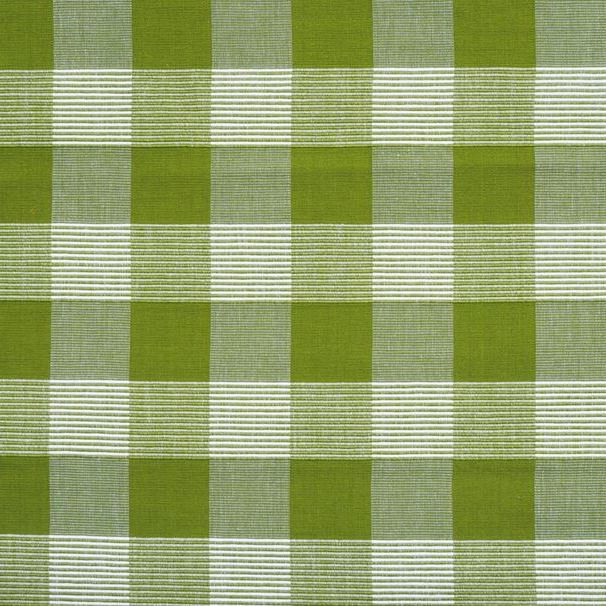 Acquire JAG-50061.231.0 Siam Sq Cotton Green Check/Plaid by Brunschwig & Fils Fabric