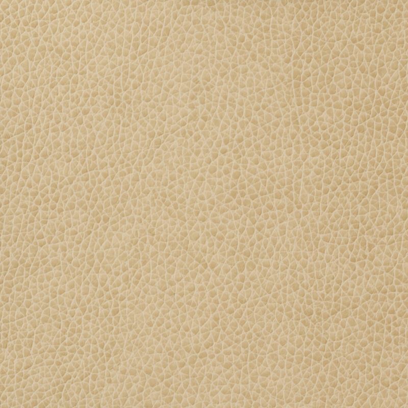 Acquire MATTER.1116 Kravet Basics Upholstery Fabric