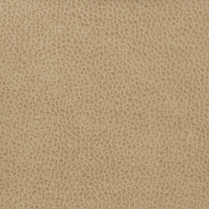 Find MATTER.1616 Kravet Basics Upholstery Fabric