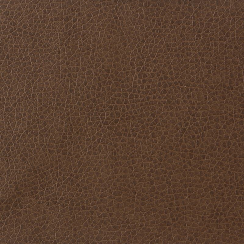 Purchase MATTER.6 Kravet Basics Upholstery Fabric