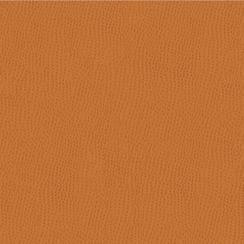 Buy Kravet Smart Fabric - Rust Skins Upholstery Fabric