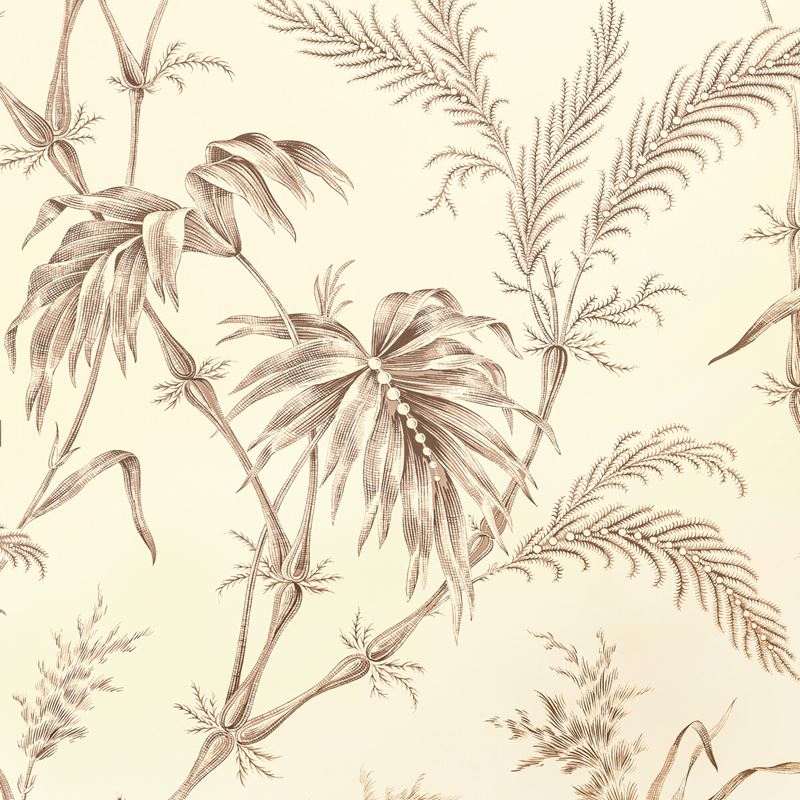 Purchase P8020113.106 Lauziere TaupeBotanical & Floral by Brunschwig & Fils Wallpaper