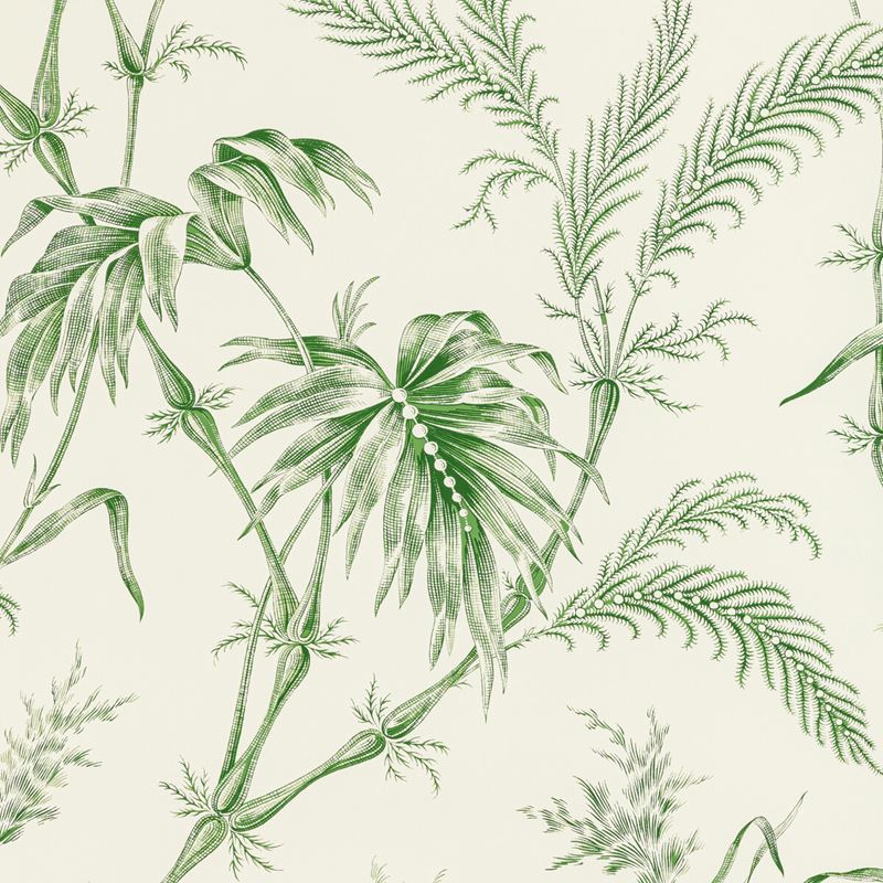 Shop P8020113.3 Lauziere GreenBotanical & Floral by Brunschwig & Fils Wallpaper