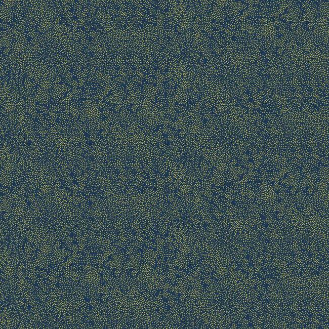 Looking RI5113 Rifle Paper Co. Champagne Dots Gold York Wallpaper