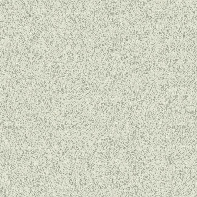 Looking RI5116 Rifle Paper Co. Champagne Dots Beige York Wallpaper