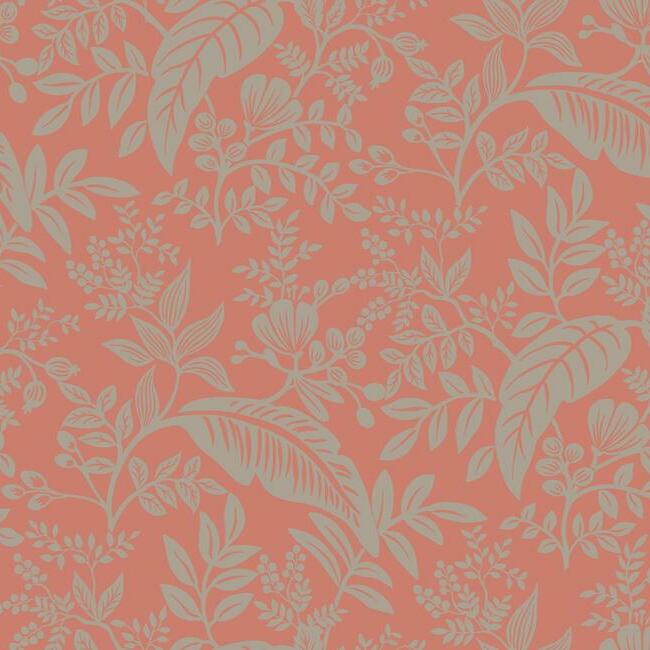 Find RI5135 Rifle Paper Co. Canopy Rose York Wallpaper