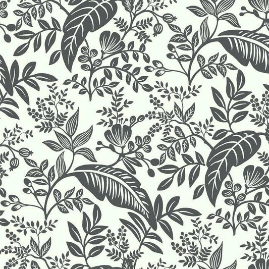 Purchase RI5136 Rifle Paper Co. Canopy Black York Wallpaper