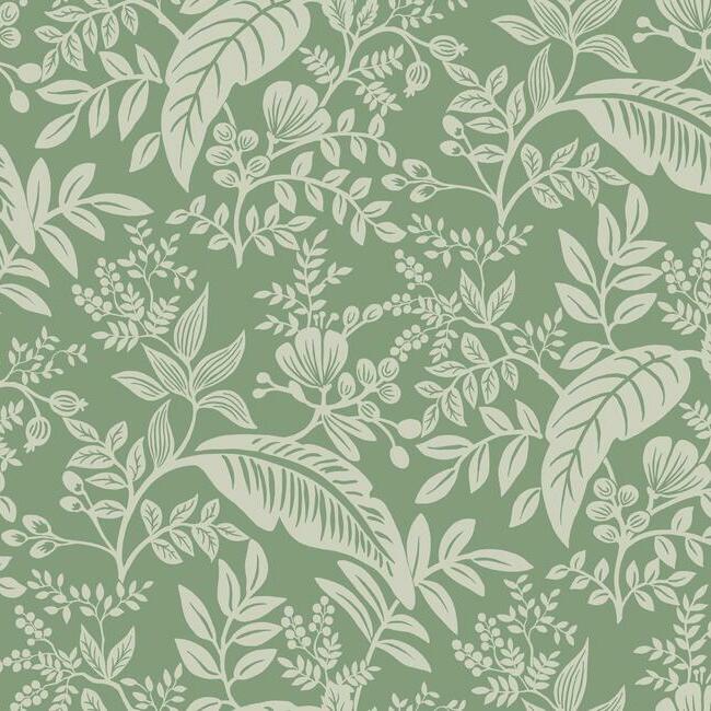 Acquire RI5140 Rifle Paper Co. Canopy Sage York Wallpaper