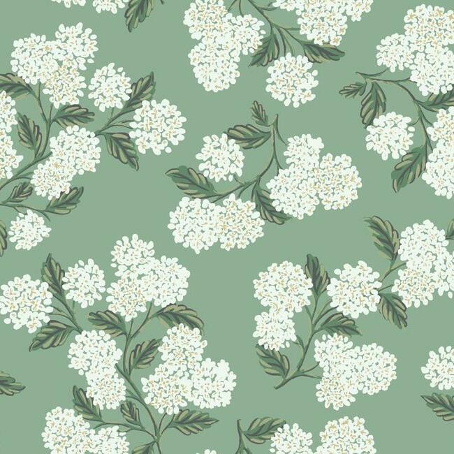 View RI5145 Rifle Paper Co. Hydrangea Jade York Wallpaper