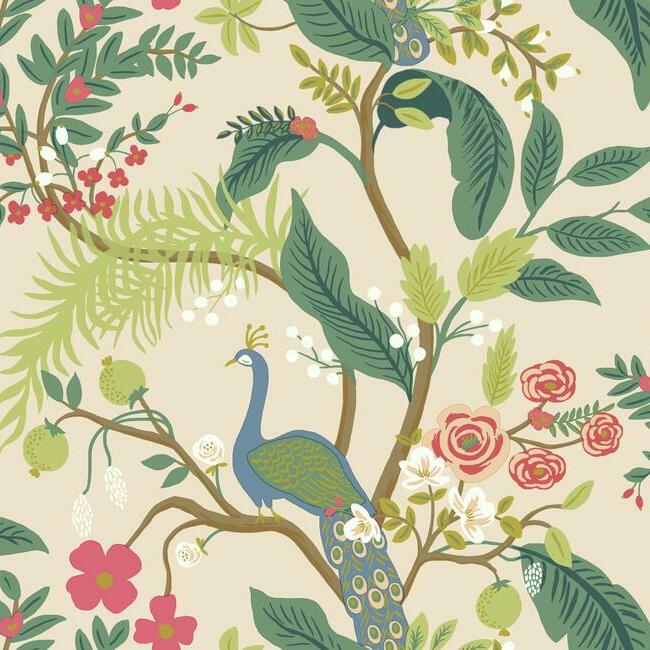 Select RI5169 Rifle Paper Co. Peacock Pink York Wallpaper