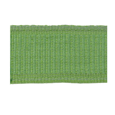 View T8012107-3 Coeur Band Spring by Brunschwig & Fils Fabric