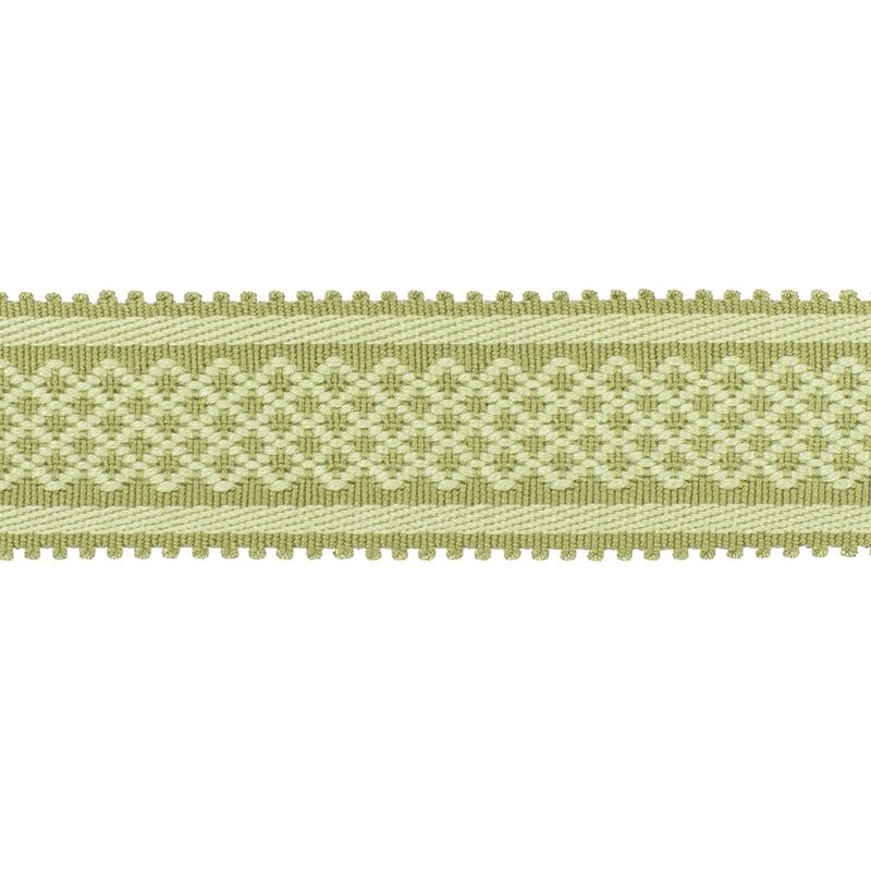 Acquire T8020102.3.0 Bastille Braid Green by Brunschwig & Fils Fabric