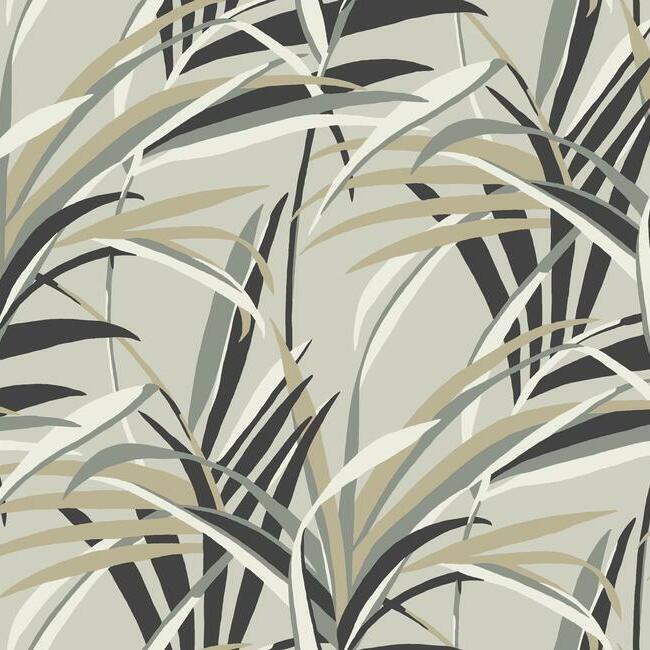 Shop TC2604 Tropics Resource Library Tropical Paradise Taupe York Wallpaper