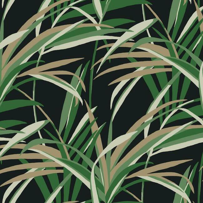 Buy TC2606 Tropics Resource Library Tropical Paradise Green/Black York Wallpaper