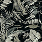 Find TC2625 Tropics Resource Library Tropical Toss Black York Wallpaper