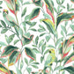 Looking TC2653 Tropics Resource Library Tropical Love Birds White/Coral York Wallpaper