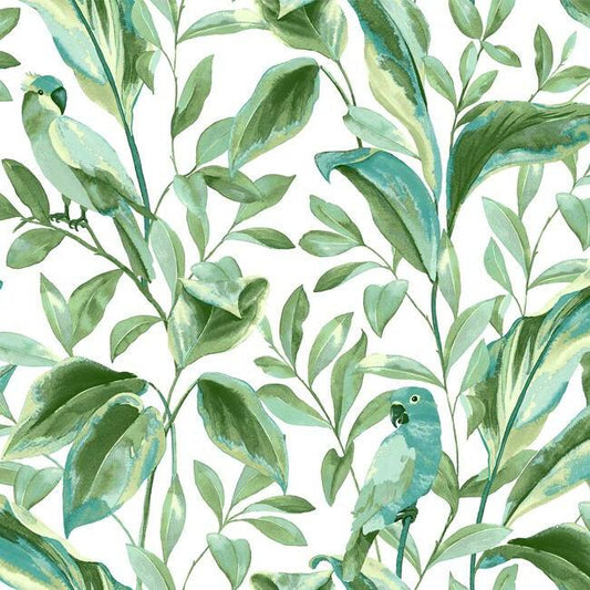 Shop TC2654 Tropics Resource Library Tropical Love Birds White/Aqua York Wallpaper