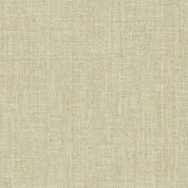 Order TD1014N Texture Digest Well Suited Beige York Wallpaper